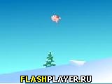 �������� flash ���� ������� �����.